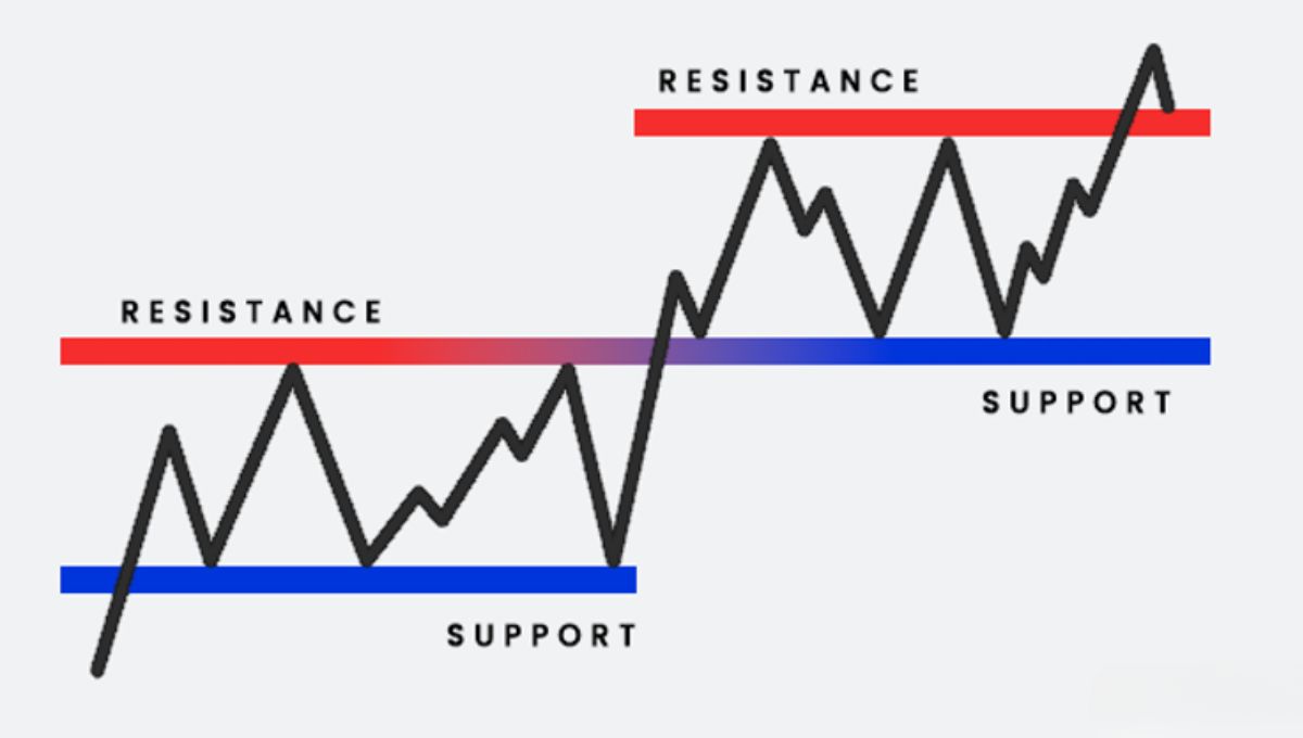 Stocks near Support Level: शेयर मार्केट में सफलता का मंत्र, निफ्टी की सही लेव्हल कैसे निकालें?